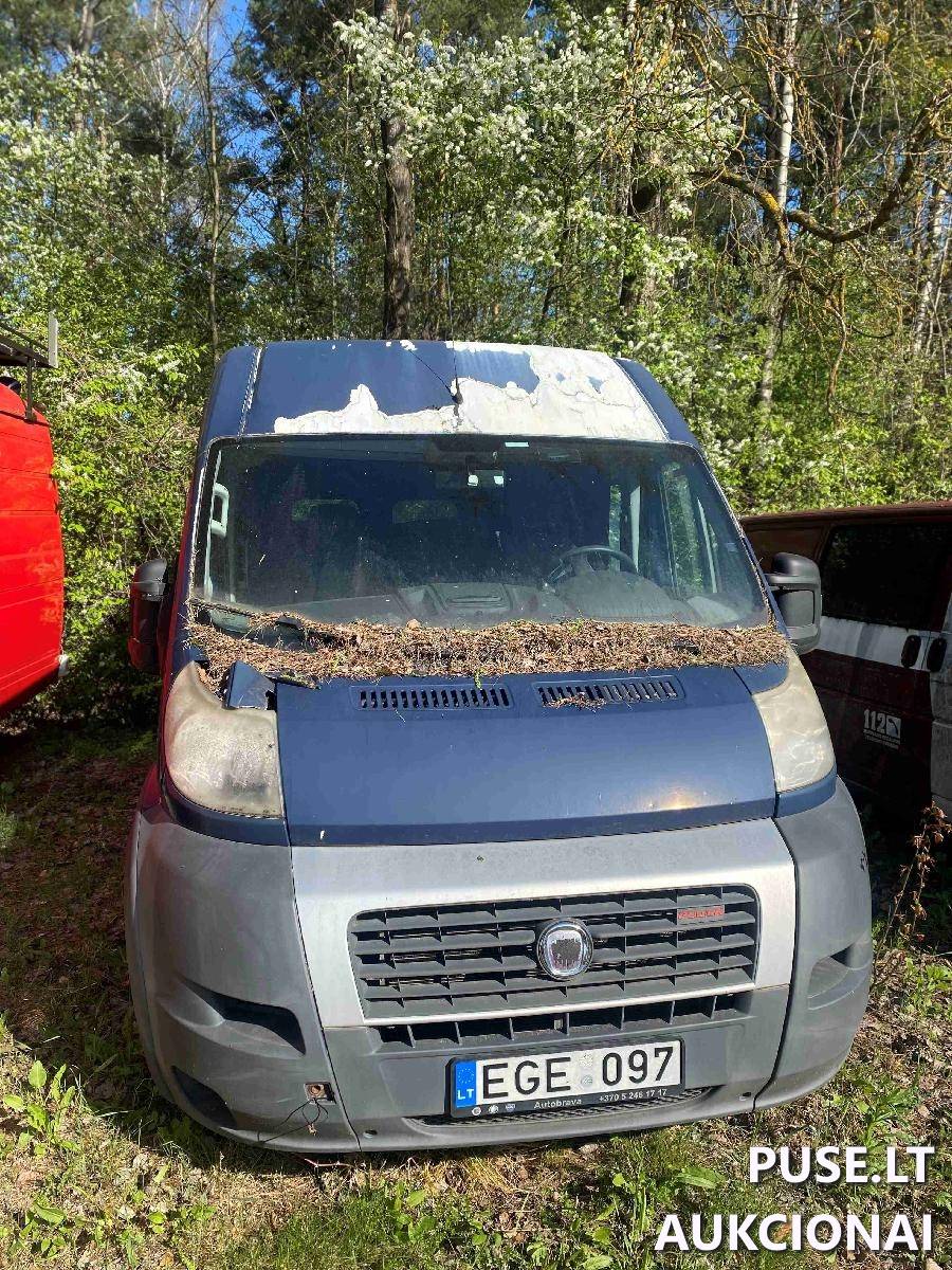 Autobusas Fiat Ducato Nenurodyta 1
