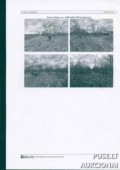 Žemės ūkio paskirties sklypas Panevėžio rajone, Dembavos seniūnijoje, pradinė kaina 5280 EUR