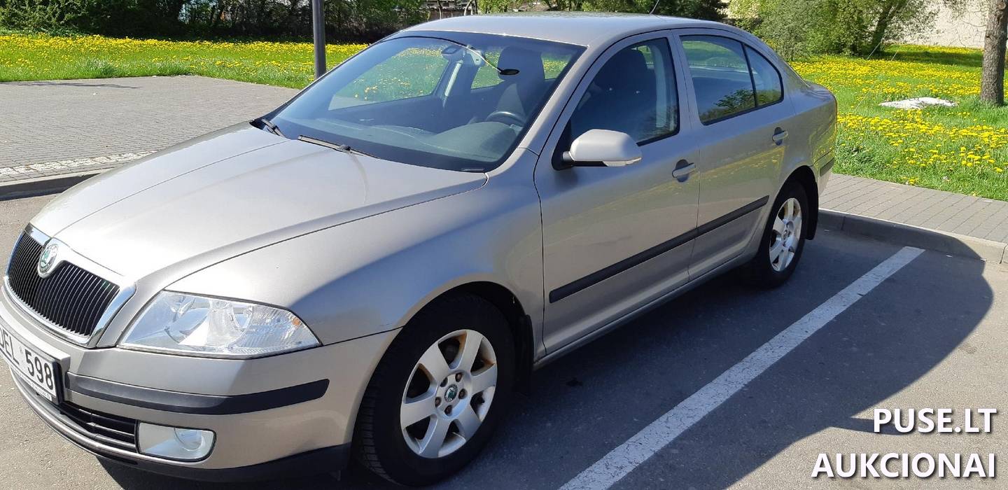 Škoda Octavia Lengvasis automobilis 3