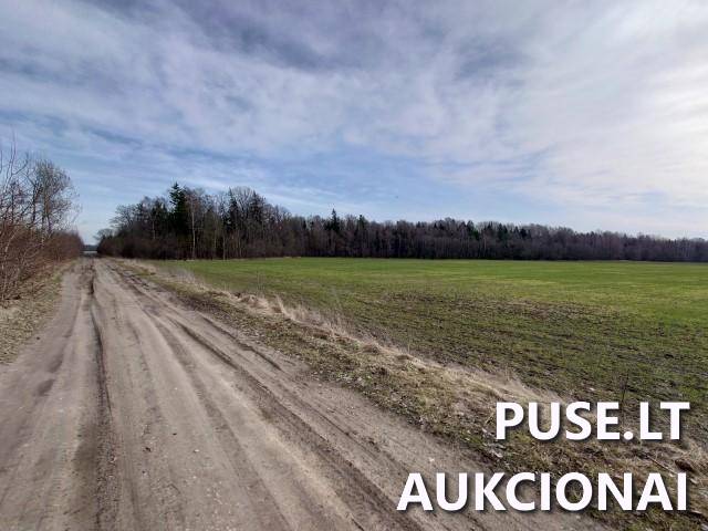 Žemės sklypas Sklypai Kupiškio r. sav., Panevėžio apskr. 1