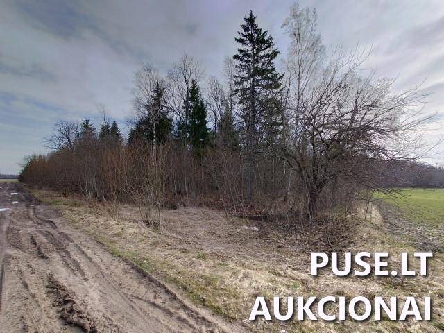 Žemės sklypas Sklypai Kupiškio r. sav., Panevėžio apskr. 2
