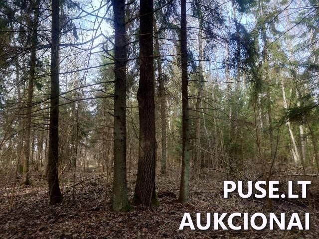 Žemės sklypas Sklypai Kupiškio r. sav., Panevėžio apskr. 3