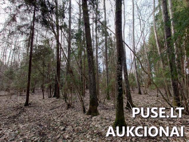 Žemės sklypas Sklypai Kupiškio r. sav., Panevėžio apskr. 4