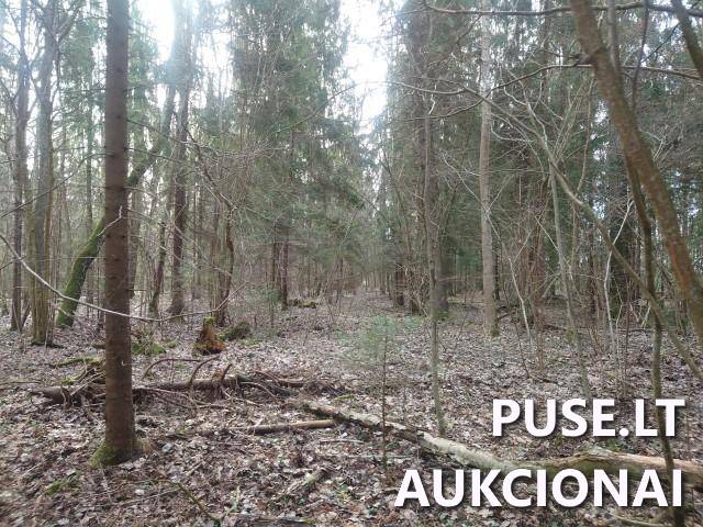 Žemės sklypas Sklypai Kupiškio r. sav., Panevėžio apskr. 5