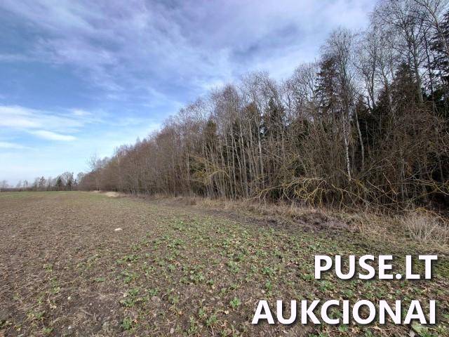Žemės sklypas Sklypai Kupiškio r. sav., Panevėžio apskr. 6