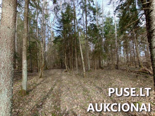 Žemės sklypas Sklypai Kupiškio r. sav., Panevėžio apskr. 7