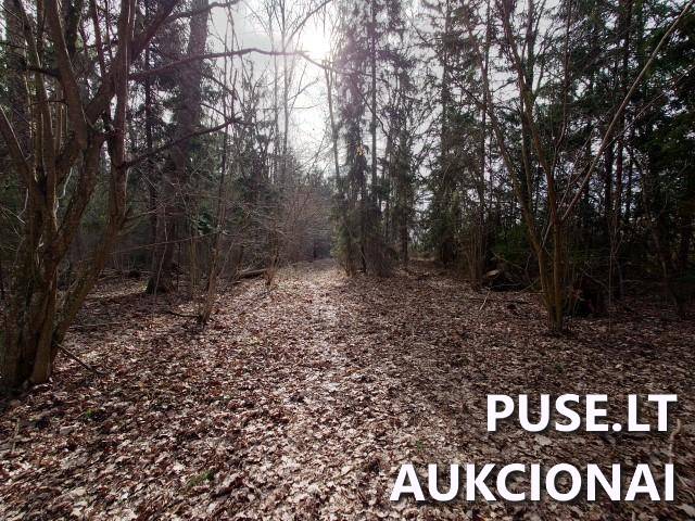 Žemės sklypas Sklypai Kupiškio r. sav., Panevėžio apskr. 8