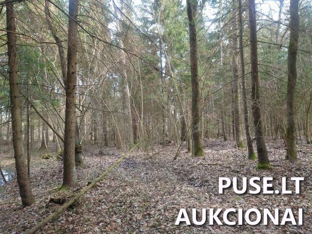 Žemės sklypas Sklypai Kupiškio r. sav., Panevėžio apskr. 9