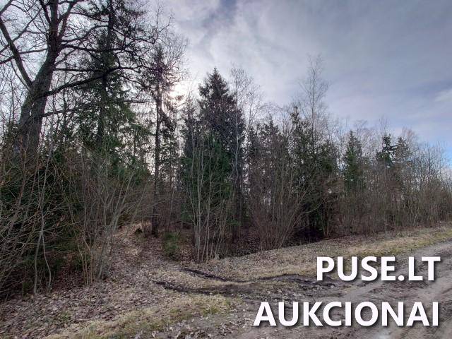 Žemės sklypas Sklypai Kupiškio r. sav., Panevėžio apskr. 10