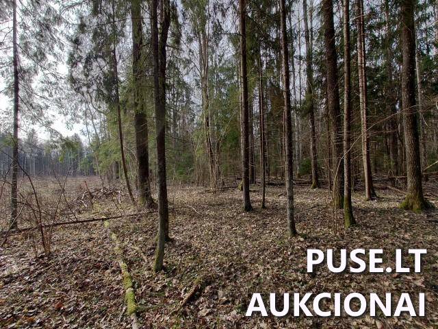 Žemės sklypas Sklypai Kupiškio r. sav., Panevėžio apskr. 11