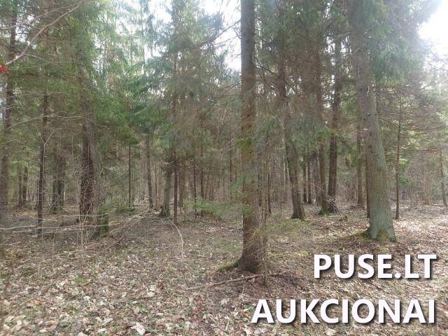 Žemės sklypas Sklypai Kupiškio r. sav., Panevėžio apskr. 12