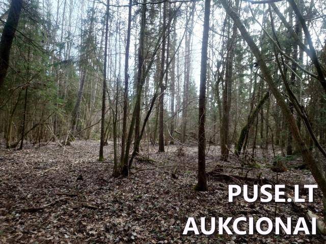 Žemės sklypas Sklypai Kupiškio r. sav., Panevėžio apskr. 13