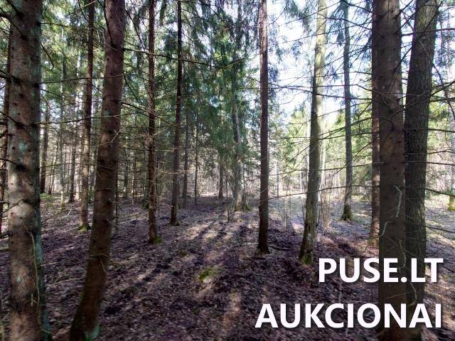 Žemės sklypas Sklypai Dvaramiškis, Kupiškio sen., Kupiškio r. sav. 2