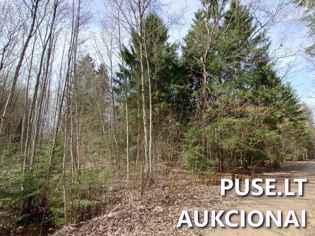 Žemės sklypas Sklypai Dvaramiškis, Kupiškio sen., Kupiškio r. sav. 4