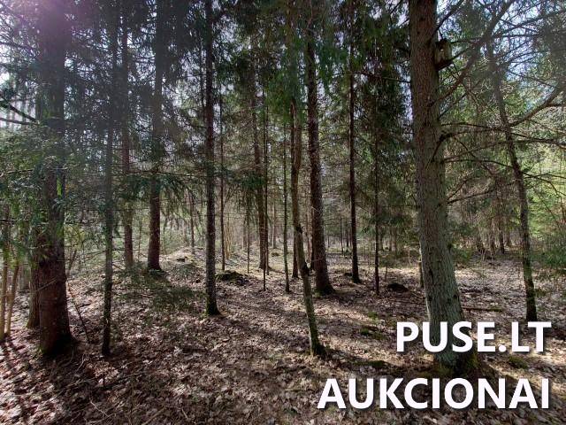 Žemės sklypas Sklypai Dvaramiškis, Kupiškio sen., Kupiškio r. sav. 5