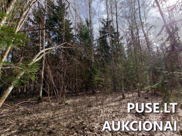 Žemės sklypas Sklypai Dvaramiškis, Kupiškio sen., Kupiškio r. sav. 8