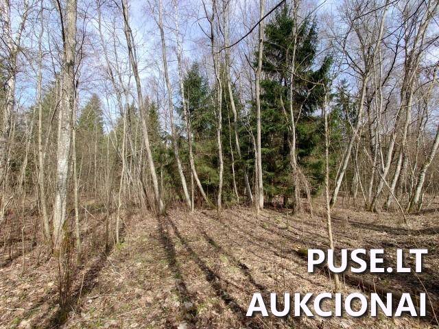Žemės sklypas Sklypai Dvaramiškis, Kupiškio sen., Kupiškio r. sav. 9