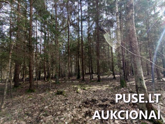 Žemės sklypas Sklypai Dvaramiškis, Kupiškio sen., Kupiškio r. sav. 10