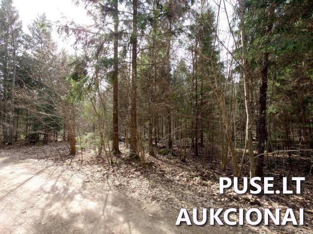 Žemės sklypas Sklypai Dvaramiškis, Kupiškio sen., Kupiškio r. sav. 11