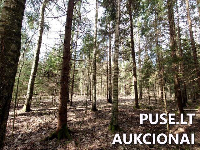Žemės sklypas Sklypai Dvaramiškis, Kupiškio sen., Kupiškio r. sav. 14