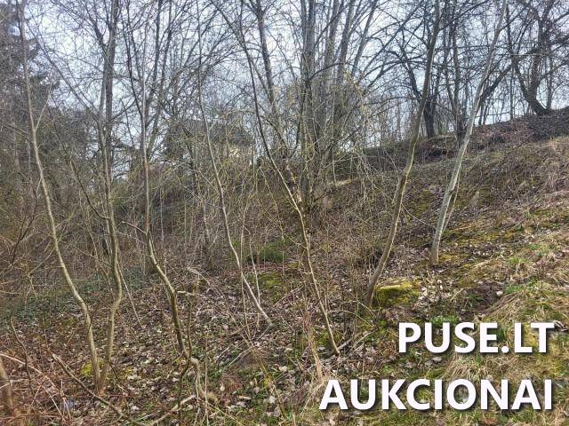 Žemės sklypas Sklypai Ūkininkų kel. 16, 53183 Guogai, Taurakiemio sen., Kauno r. sav. 4