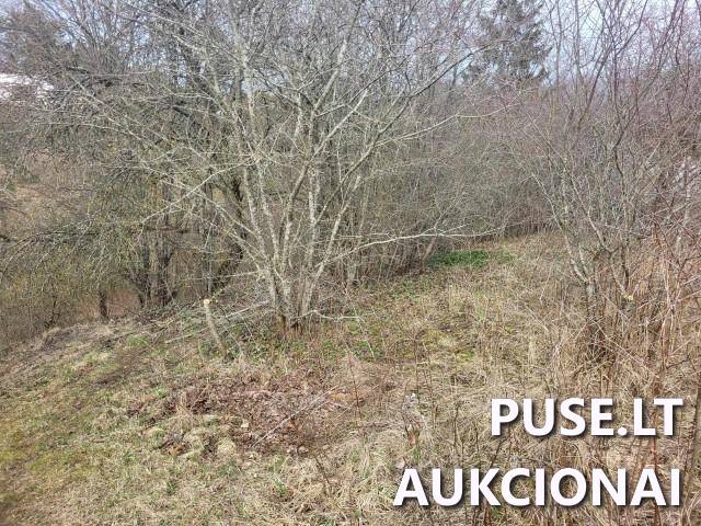 Žemės sklypas Sklypai Ūkininkų kel. 16, 53183 Guogai, Taurakiemio sen., Kauno r. sav. 14