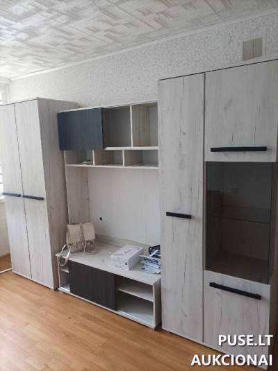 1 kambario butas Alytuje, Naujoji g. 16, pradinė kaina 4000 EUR, parduodamas aukcione