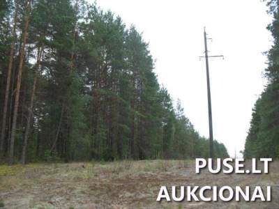 Žemės sklypas Varėnos r. sav., Marcinkonių k. (2.50 ha, miškinė) parduodamas aukcione nuo 5040 EUR