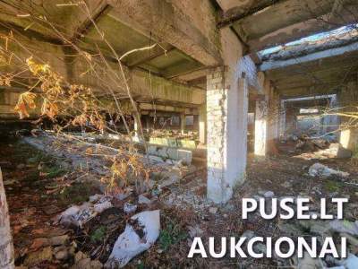 Parduodama karvių ferma Prienų rajone, Medžionių kaime, 3295 EUR pradinė kaina