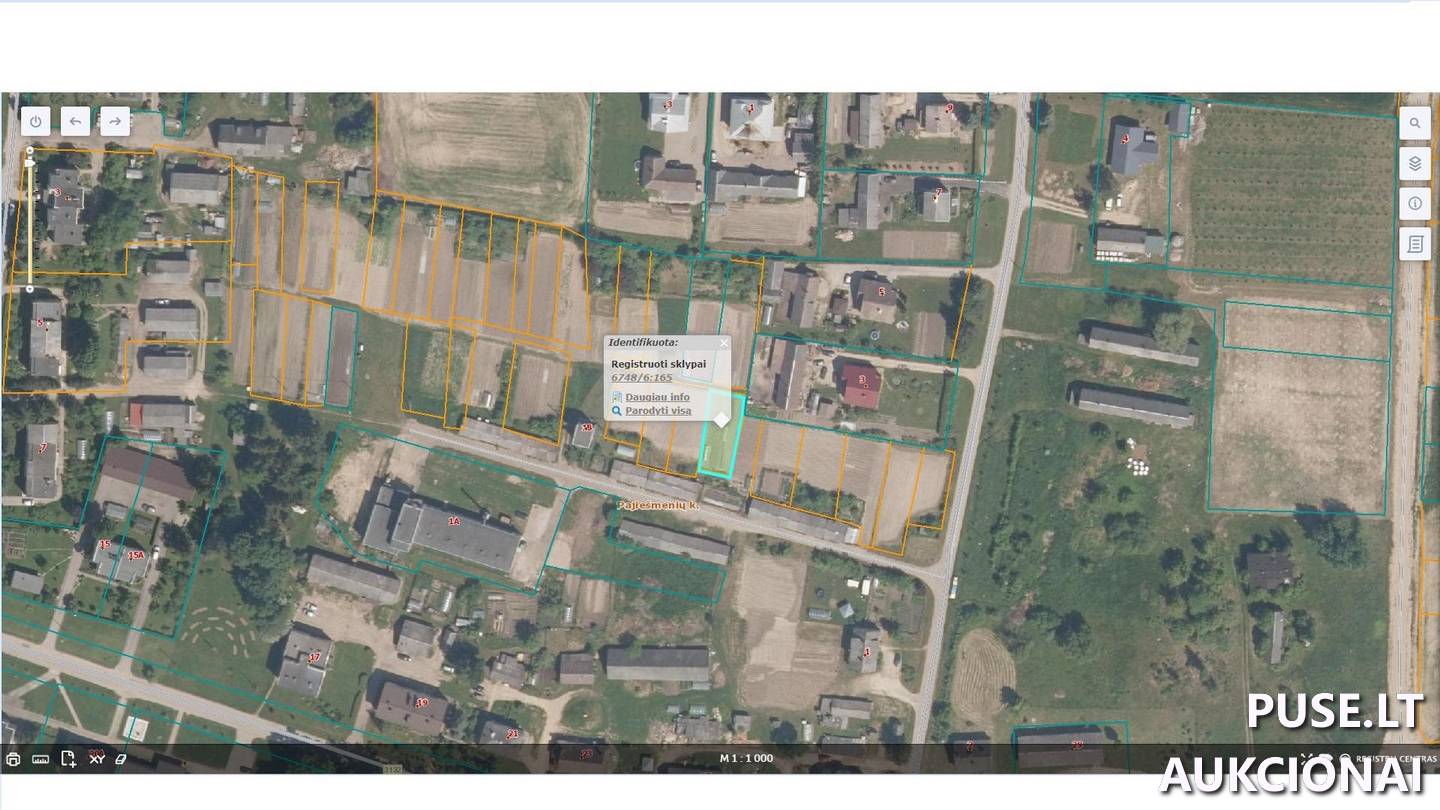 Žemės sklypas Sklypai Pajiešmeniai, Krinčino sen., Pasvalio r. sav. 1