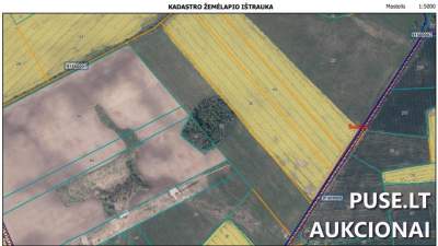 Parduodamas 9.8 ha žemės ūkio paskirties sklypas Šiaulių r. Judriškės kaime už 30320 EUR