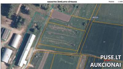 Parduodamas 0.43 ha žemės ūkio paskirties sklypas Joniškio r., pradinė kaina 320 EUR