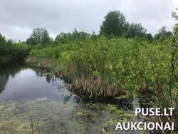 Sklypai - Žemės sklypas