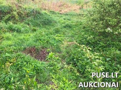 Žemės ūkio paskirties sklypas Vilniaus rajone, Bubų kaime, pradinė kaina 1760 EUR