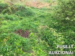 Sklypai - Žemės sklypas