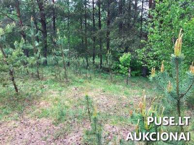 Žemės ūkio paskirties sklypas Vilniaus rajone, Bubų kaime, pradinė kaina 1760 EUR