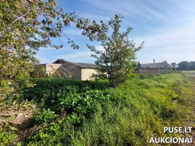 Parduodamas ūkinis pastatas su 1.3181 ha žemės sklypu Linkavičių kaime, Pakruojo rajone, 900 EUR