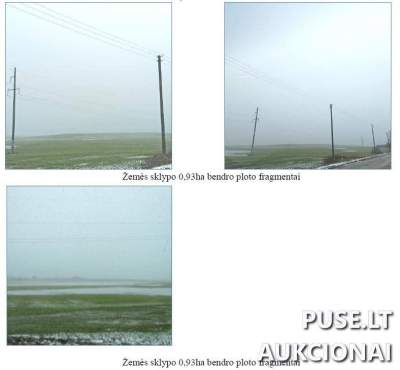 Žemės sklypo dalis Klaipėdos rajone, Peskojų kaime, pradiniu 188 EUR kainos pasiūlymu