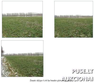 Žemės sklypo dalis Klaipėdos rajone, Peskojų kaime, 102 EUR pradinė kaina