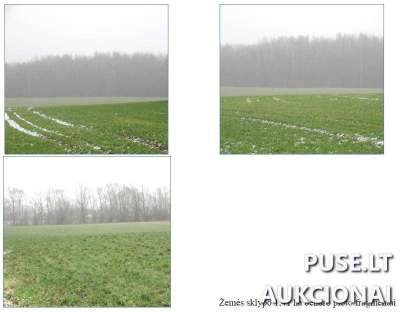 Žemės sklypo dalis Klaipėdos rajone, Peskojų kaime, pradinė kaina 252 EUR