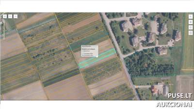 Parduodamas žemės ūkio sklypas Radviliškio rajone, Baisogalos miestelyje, pradinė kaina 490 EUR