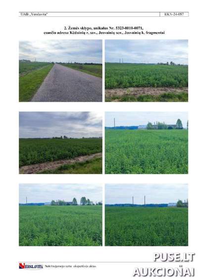 Žemės ūkio paskirties sklypas Kėdainių rajone, Josvainių kaime, pradinė kaina 2880 EUR