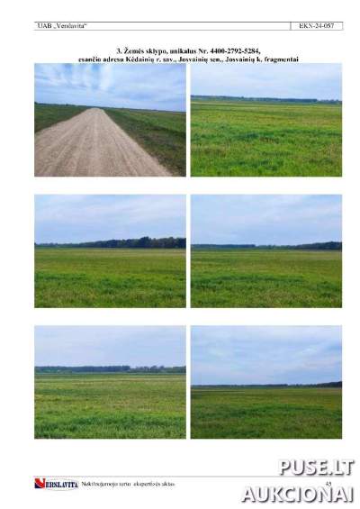 Žemės sklypo 1/2 dalis Kėdainių rajone, Josvainių kaime, aukcionas nuo 4960 EUR