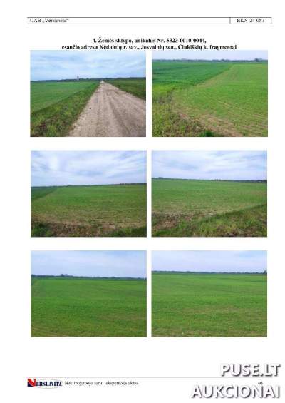 Žemės ūkio paskirties sklypas Kėdainių rajone, Čiukiškių kaime, pradinė kaina 7040 EUR