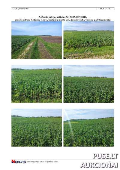 Žemės sklypas Kėdainių rajone, Janušavos kaimo 20 Varėnų g., pradinė kaina 5440 EUR, žemės ūkio paskirties sklypas