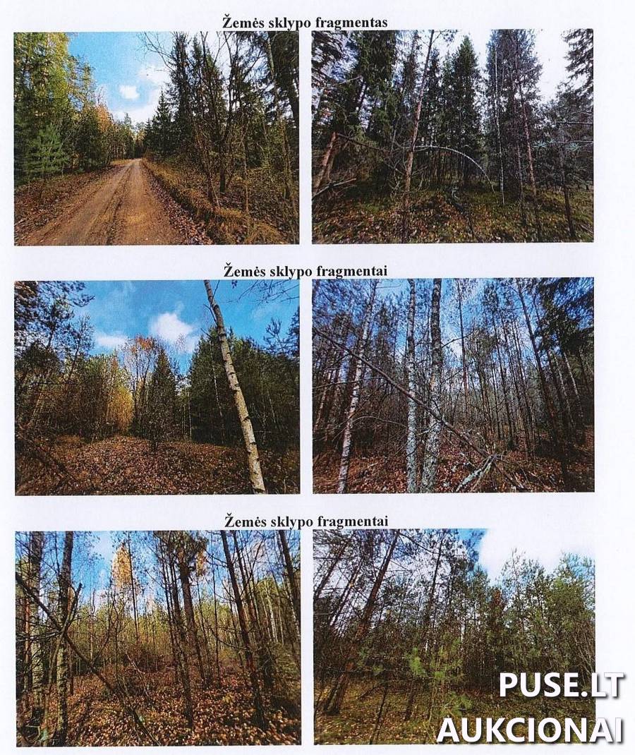 Žemės sklypas Sklypai Bartkuškos, Palomenės sen., Kaišiadorių r. sav. 1