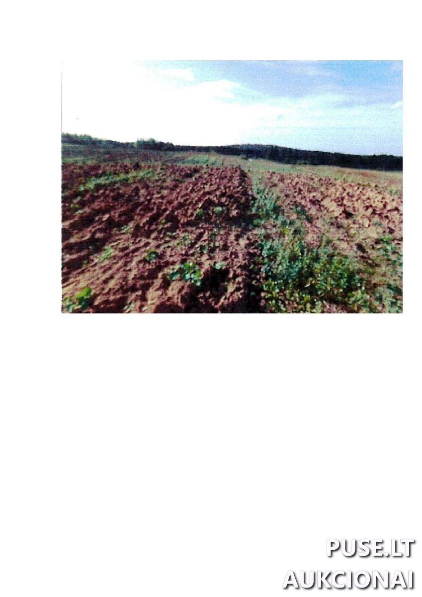 Žemės sklypas Sklypai Intuponys, Stakliškių sen., Prienų r. sav. 3