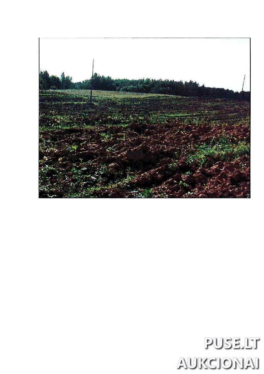 Žemės sklypas Sklypai Intuponys, Stakliškių sen., Prienų r. sav. 4