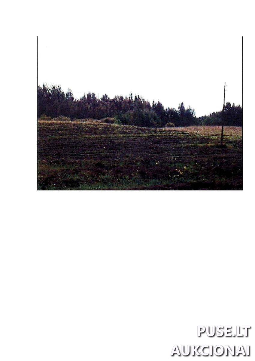 Žemės sklypas Sklypai Intuponys, Stakliškių sen., Prienų r. sav. 5