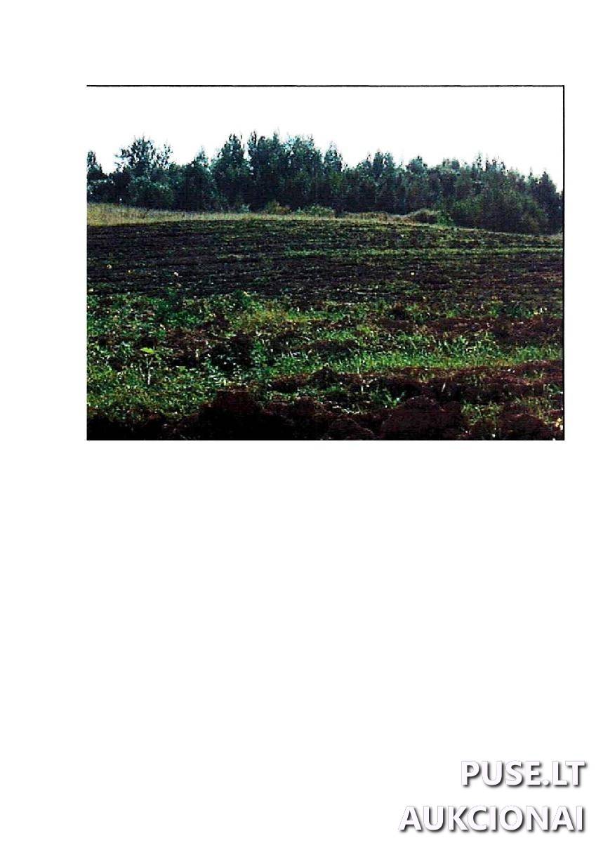 Žemės sklypas Sklypai Intuponys, Stakliškių sen., Prienų r. sav. 6